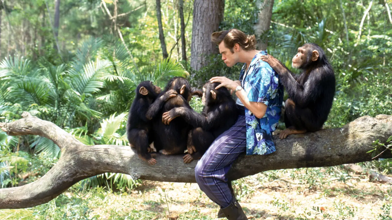 A still from Ace Ventura: When Nature Calls (1995)
